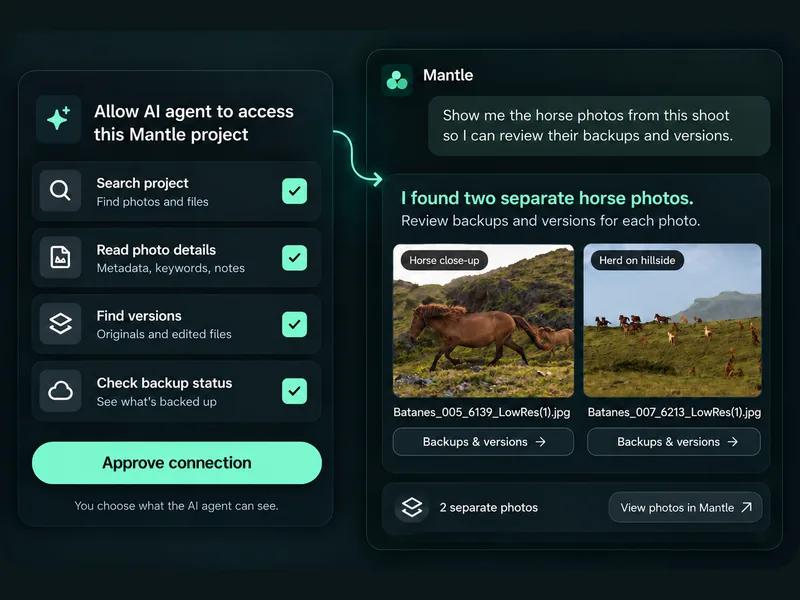 Illustration of an AI assistant’s project access controls beside two separate horse photographs, each with its own Backups & versions review action.
