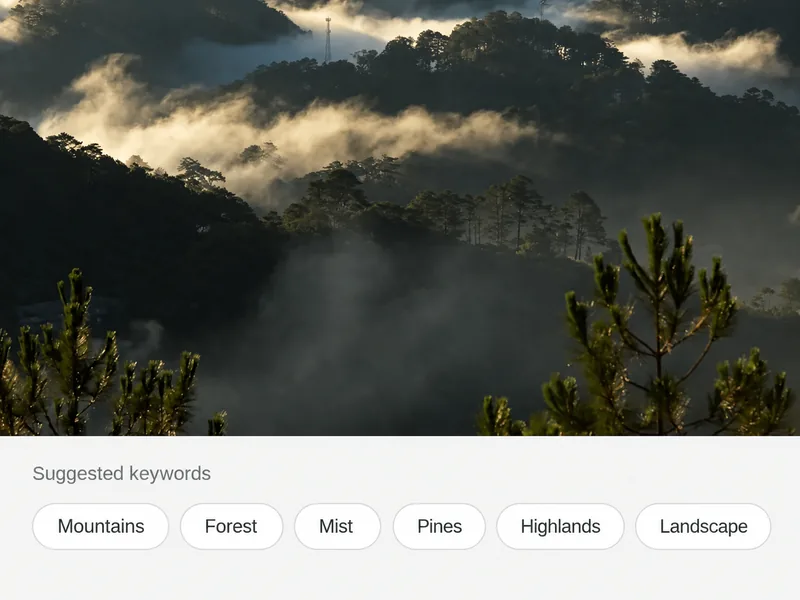Misty forested mountains with suggested keyword chips for Mountains, Forest, Mist, Pines, Highlands and Landscape.